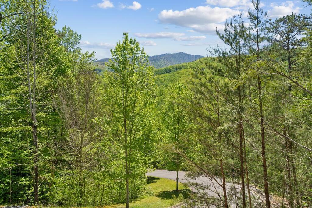 Baby Bear Den Villa Gatlinburg Exterior photo